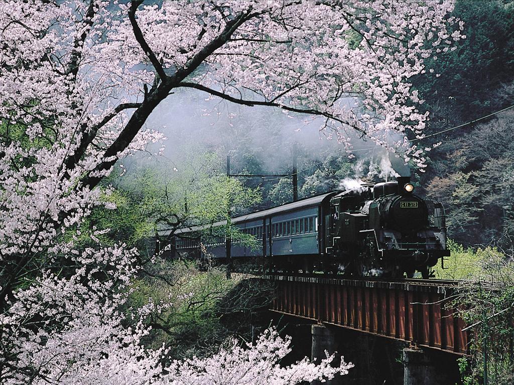 Hotel Suikoen Shizuoka Zewnętrze zdjęcie