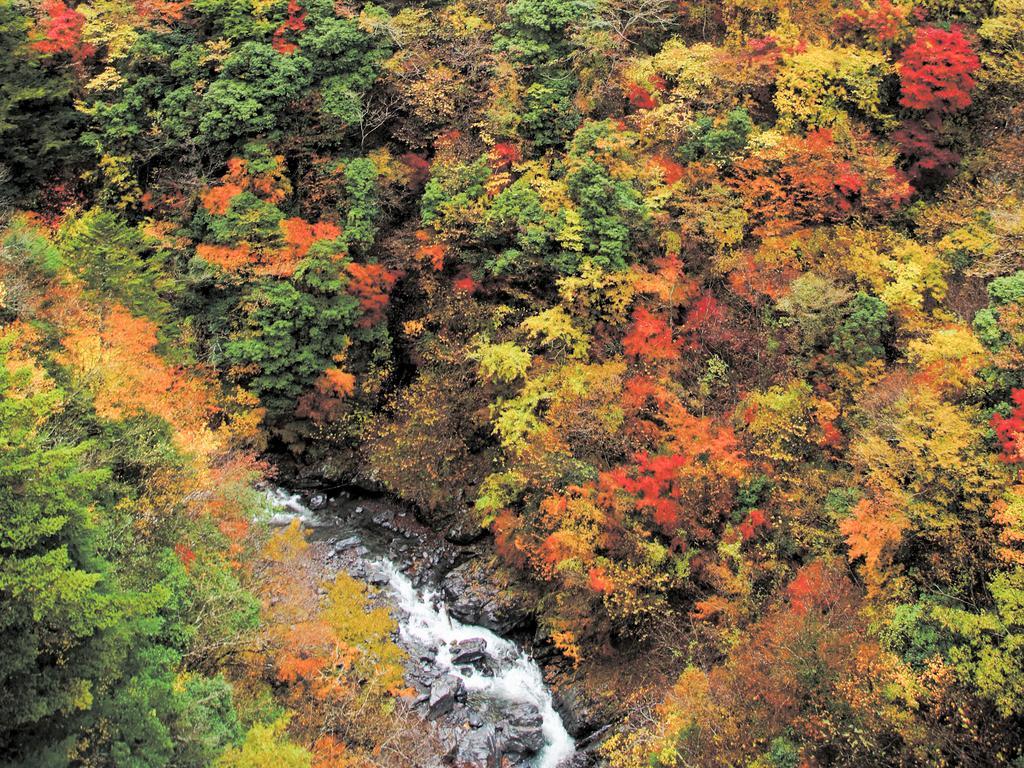 Hotel Suikoen Shizuoka Zewnętrze zdjęcie